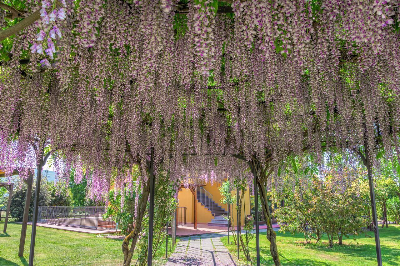Antico Casale Guest House Sarzana Bagian luar foto